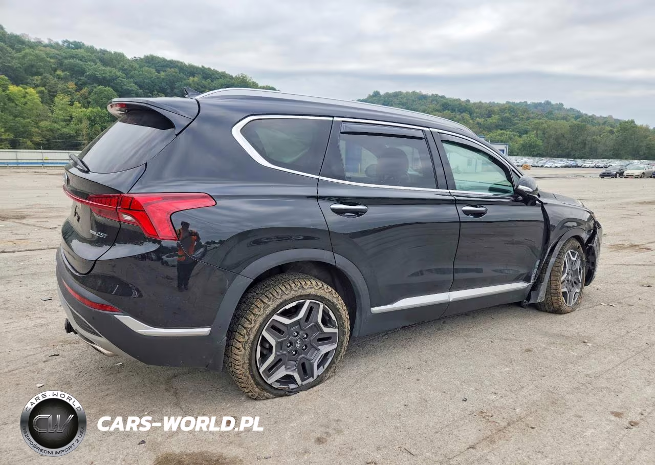 2023 Hyundai Santa Fe Limited VIN:5NMS4DAL1PH621190 - 3