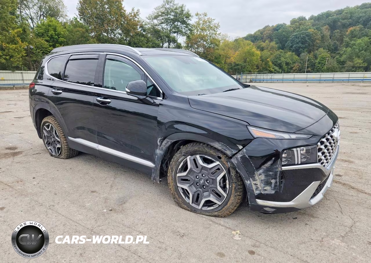 2023 Hyundai Santa Fe Limited VIN:5NMS4DAL1PH621190 - 4