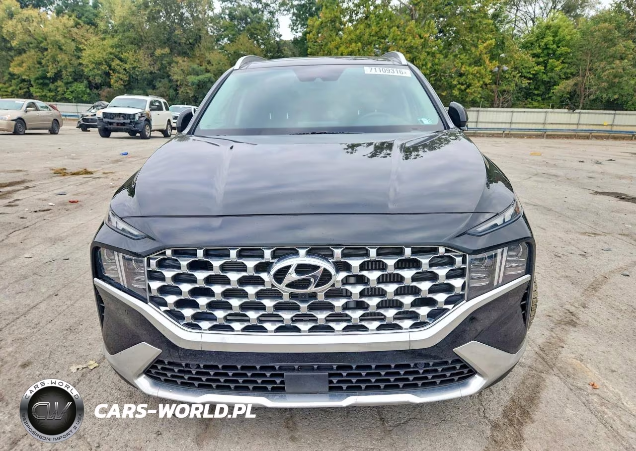 2023 Hyundai Santa Fe Limited VIN:5NMS4DAL1PH621190 - 5