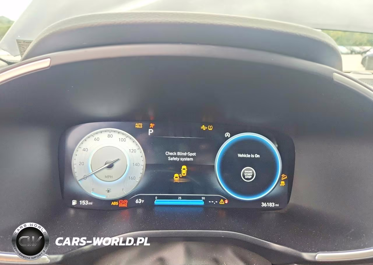 2023 Hyundai Santa Fe Limited VIN:5NMS4DAL1PH621190 - 9