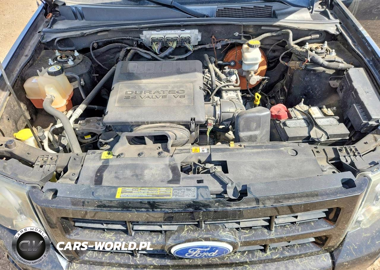 2010 Ford Escape VIN:1FMCU0DG7AKD05814 - 11