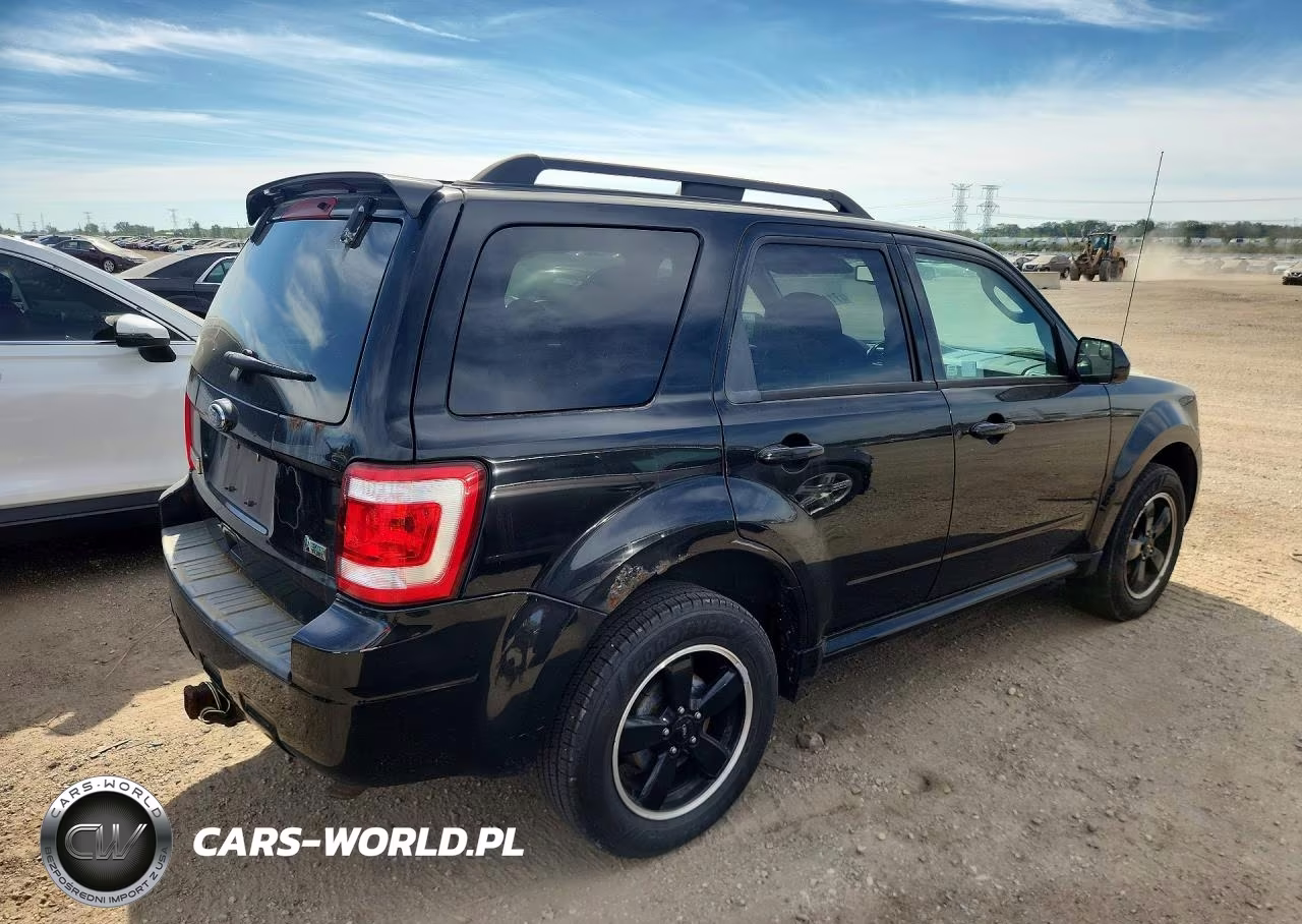 2010 Ford Escape VIN:1FMCU0DG7AKD05814 - 3