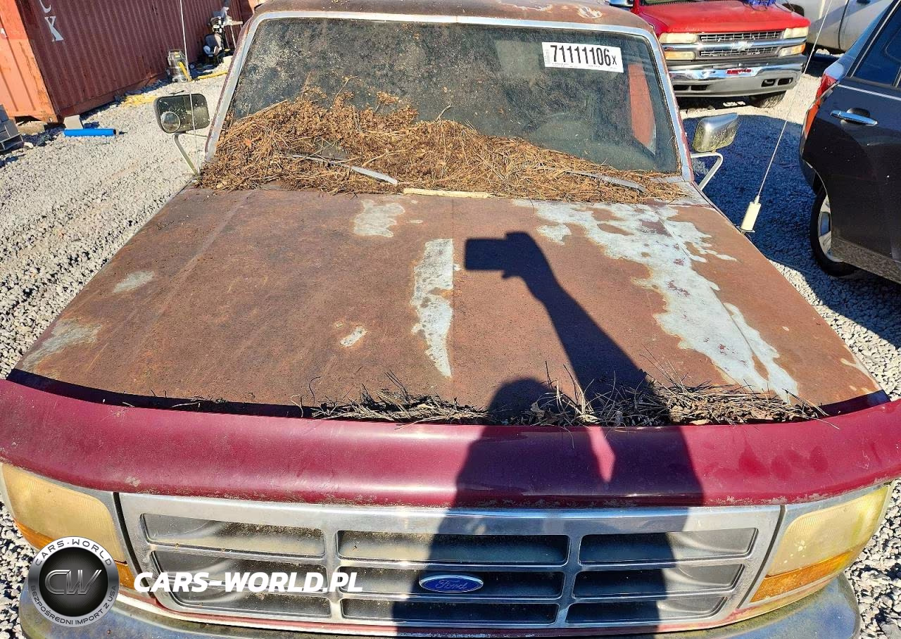 1993 Ford F150 VIN:1FTEF14H1PNA40384 - 11