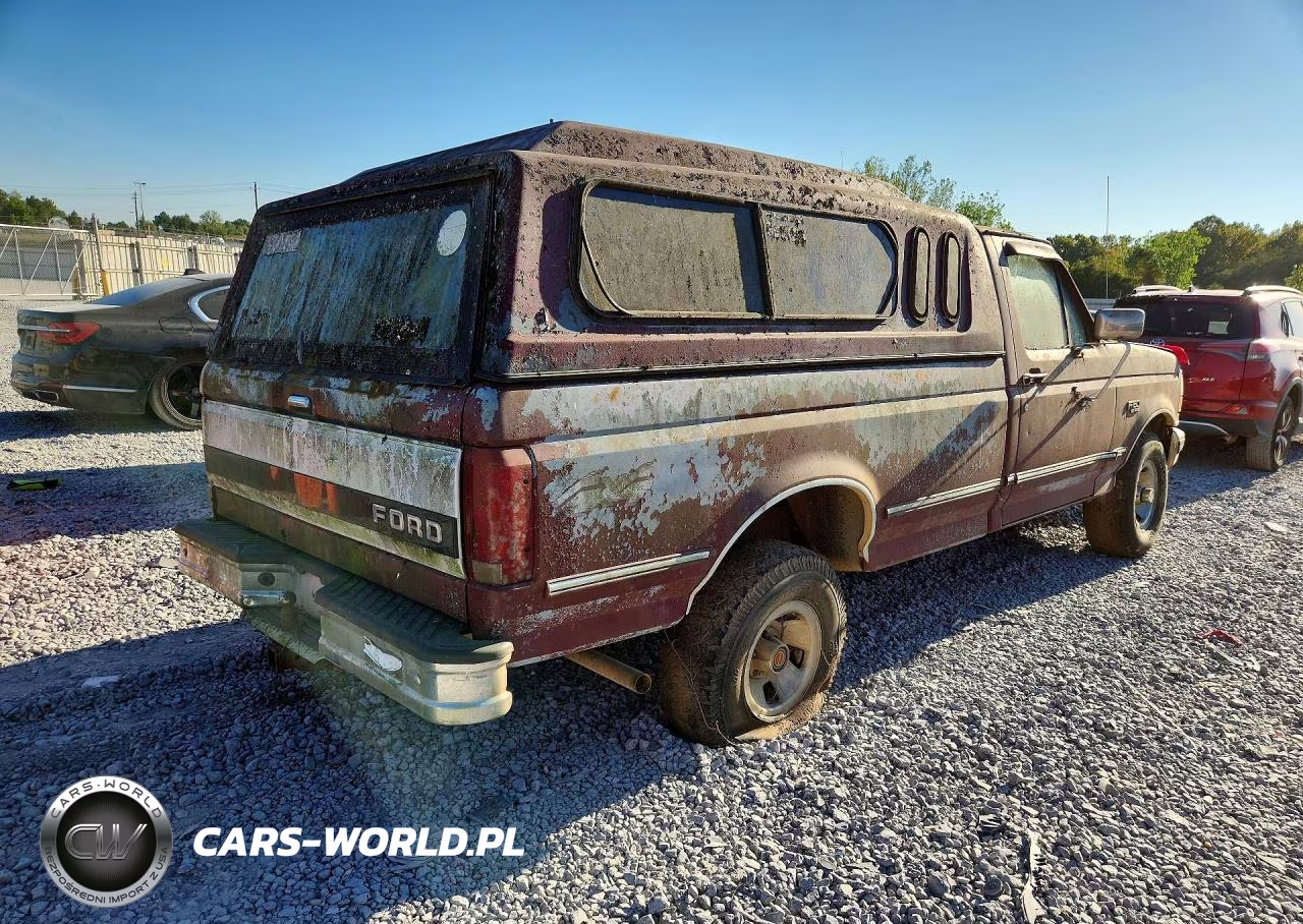 1993 Ford F150 VIN:1FTEF14H1PNA40384 - 3