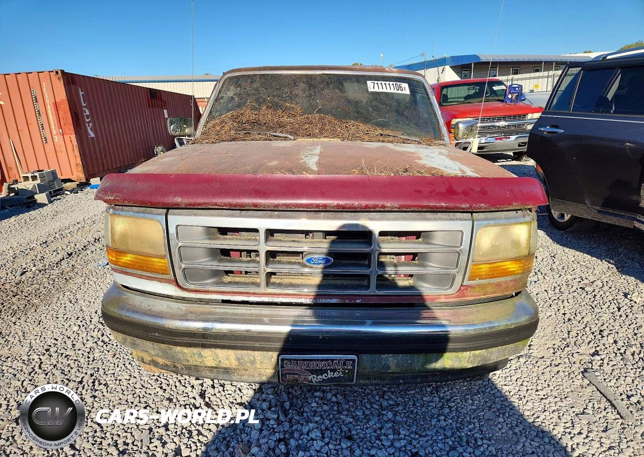 1993 Ford F150 VIN:1FTEF14H1PNA40384 - 5