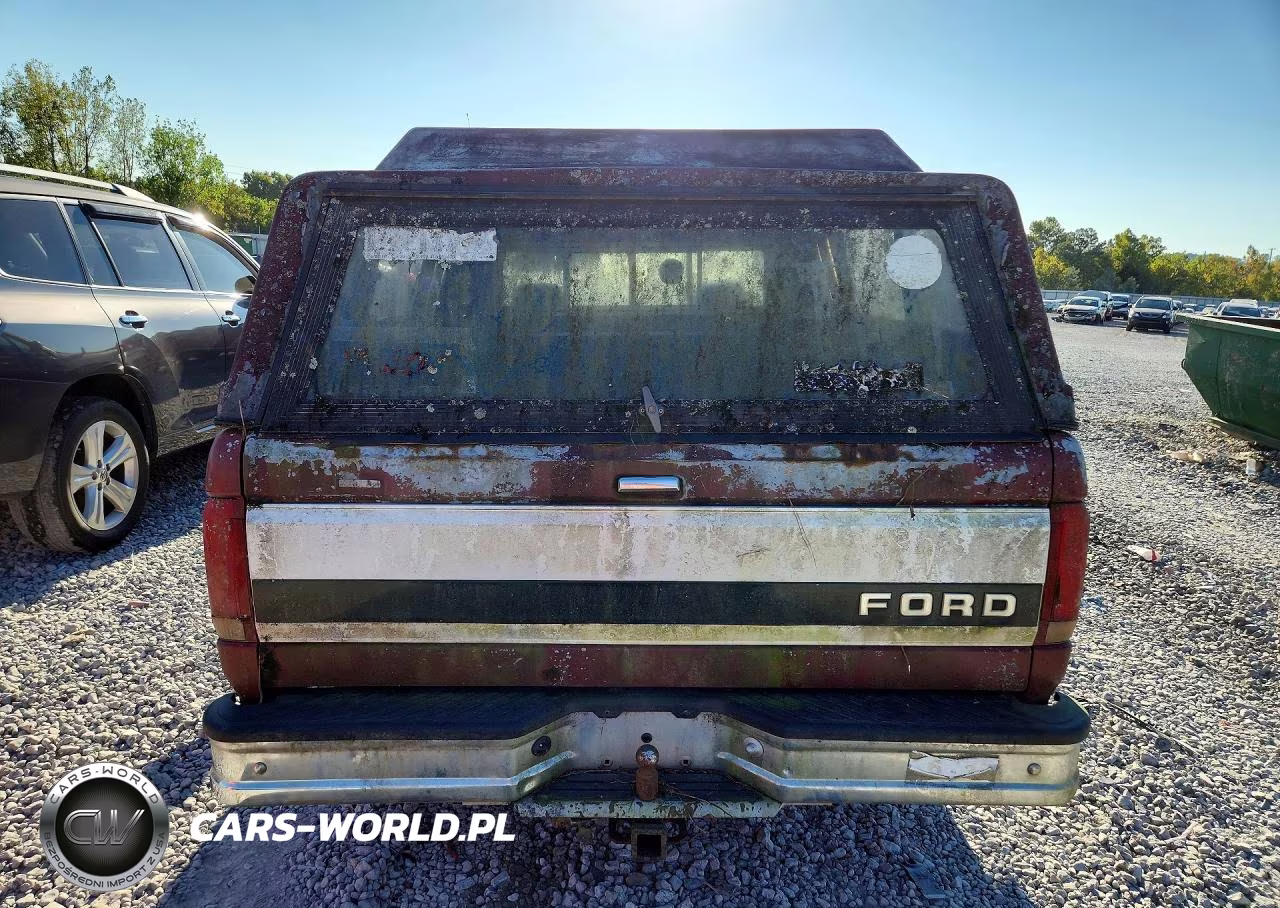 1993 Ford F150 VIN:1FTEF14H1PNA40384 - 6