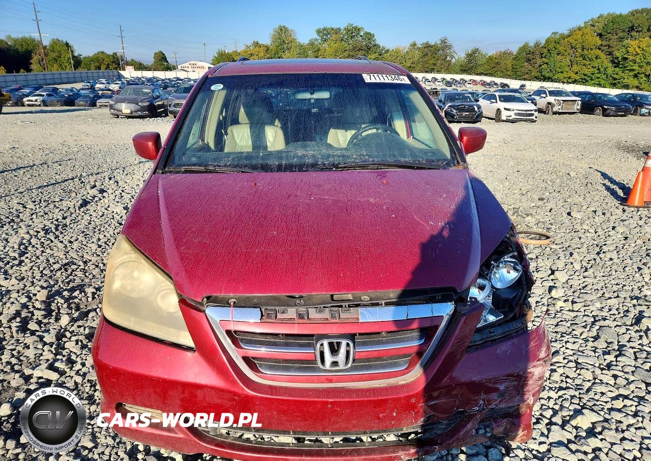 2005 Honda Odyssey Exl VIN:5FNRL38635B052854 - 5