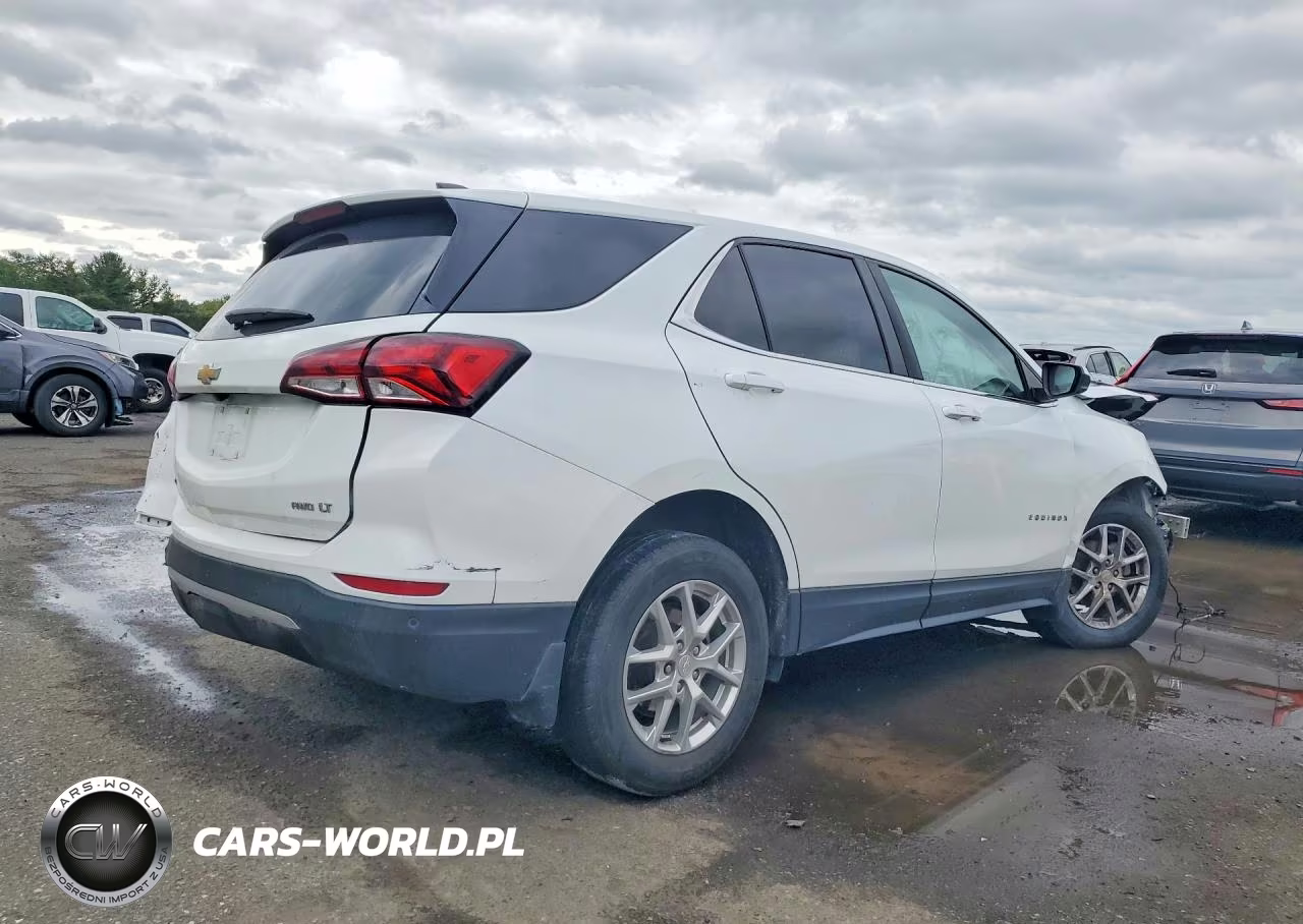 2023 Chevrolet Equinox Lt VIN:3GNAXTEG2PS117239 - 3