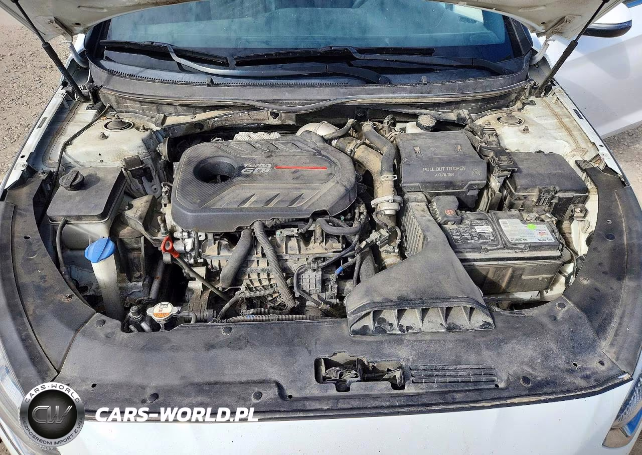 2018 Hyundai Sonata Sport 2.0T VIN:5NPE34ABXJH662807 - 11