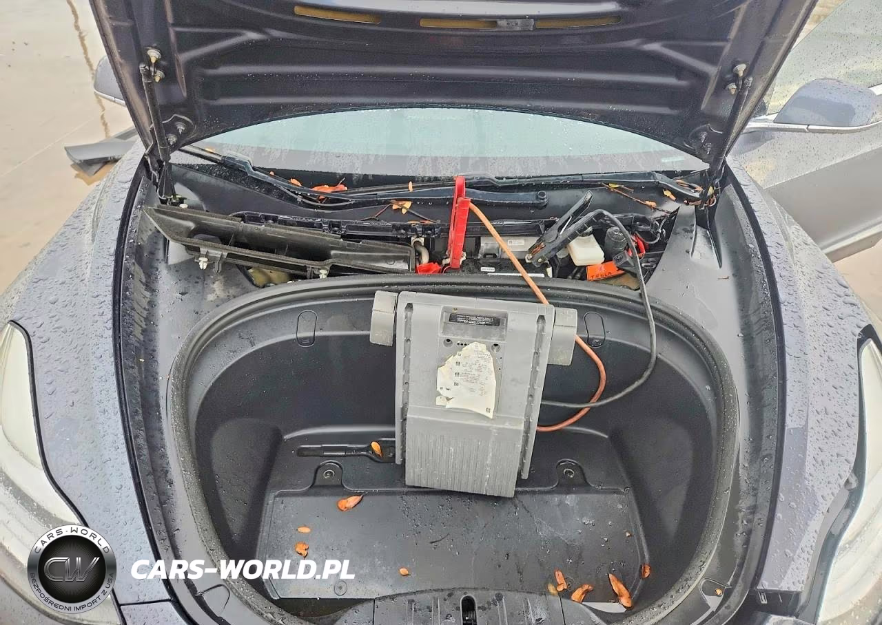 2019 Tesla Model 3 VIN:5YJ3E1EA4KF424839 - 11