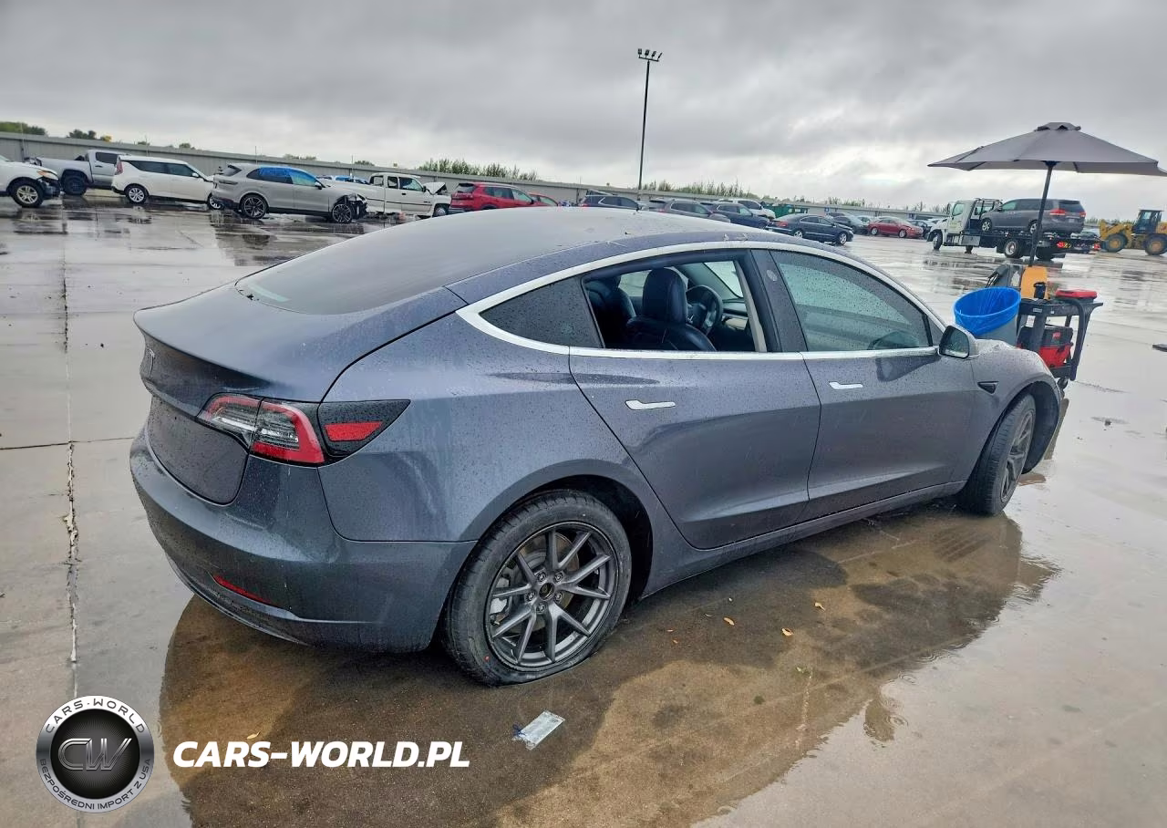 2019 Tesla Model 3 VIN:5YJ3E1EA4KF424839 - 3