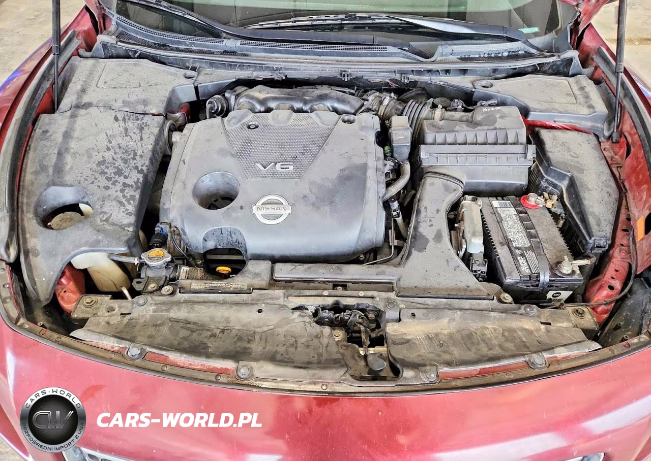 2009 Nissan Maxima 3.5 S VIN:1N4AA51EX9C836019 - 11
