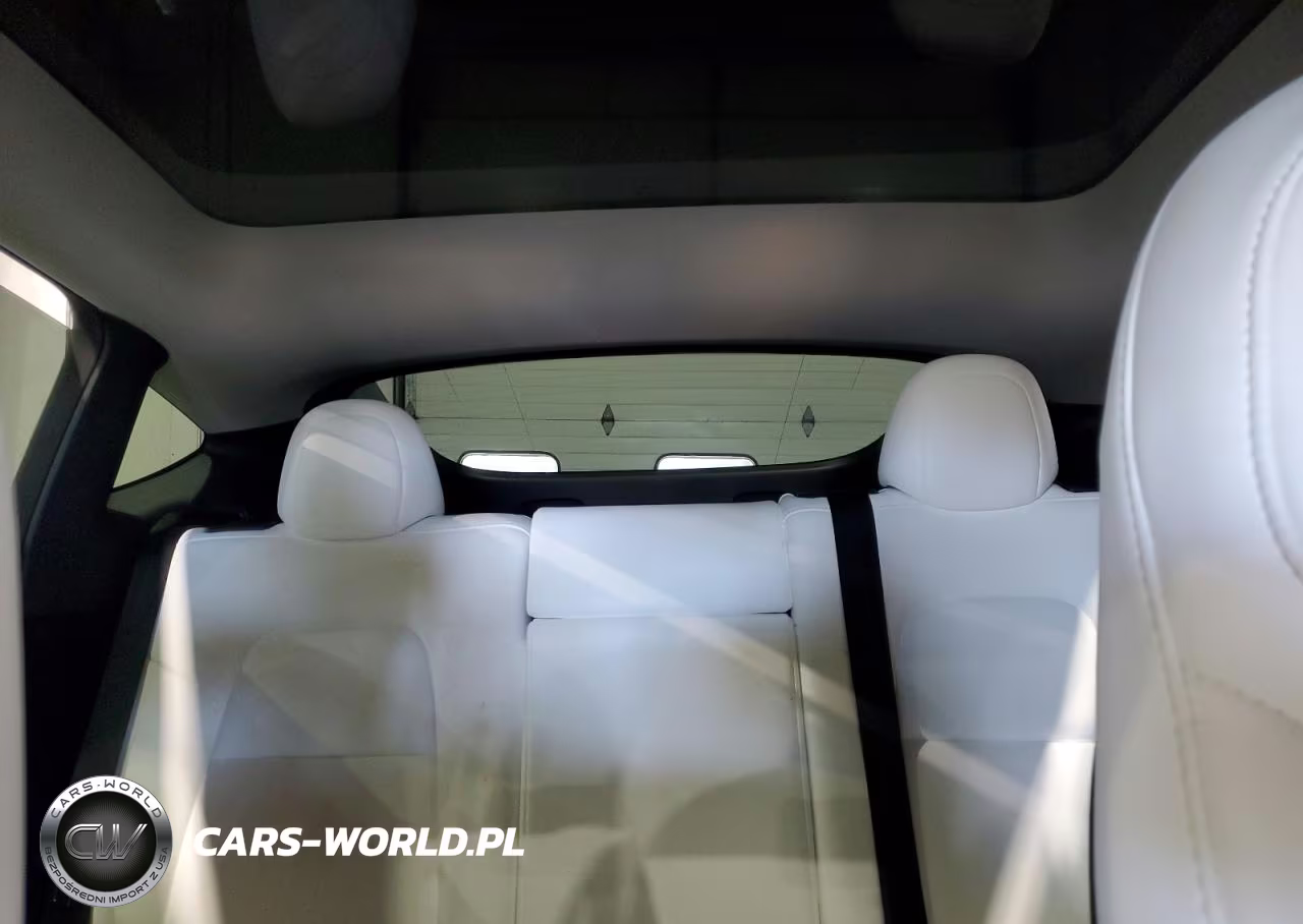 2023 Tesla Model Y VIN:7SAYGDEE6PF831382 - 10