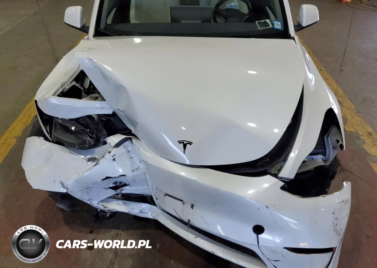 2023 Tesla Model Y VIN:7SAYGDEE6PF831382 - 12
