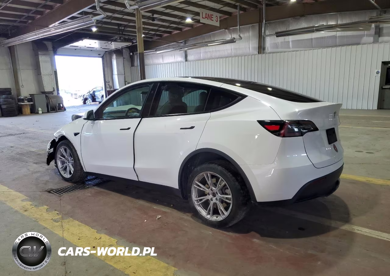 2023 Tesla Model Y VIN:7SAYGDEE6PF831382 - 2