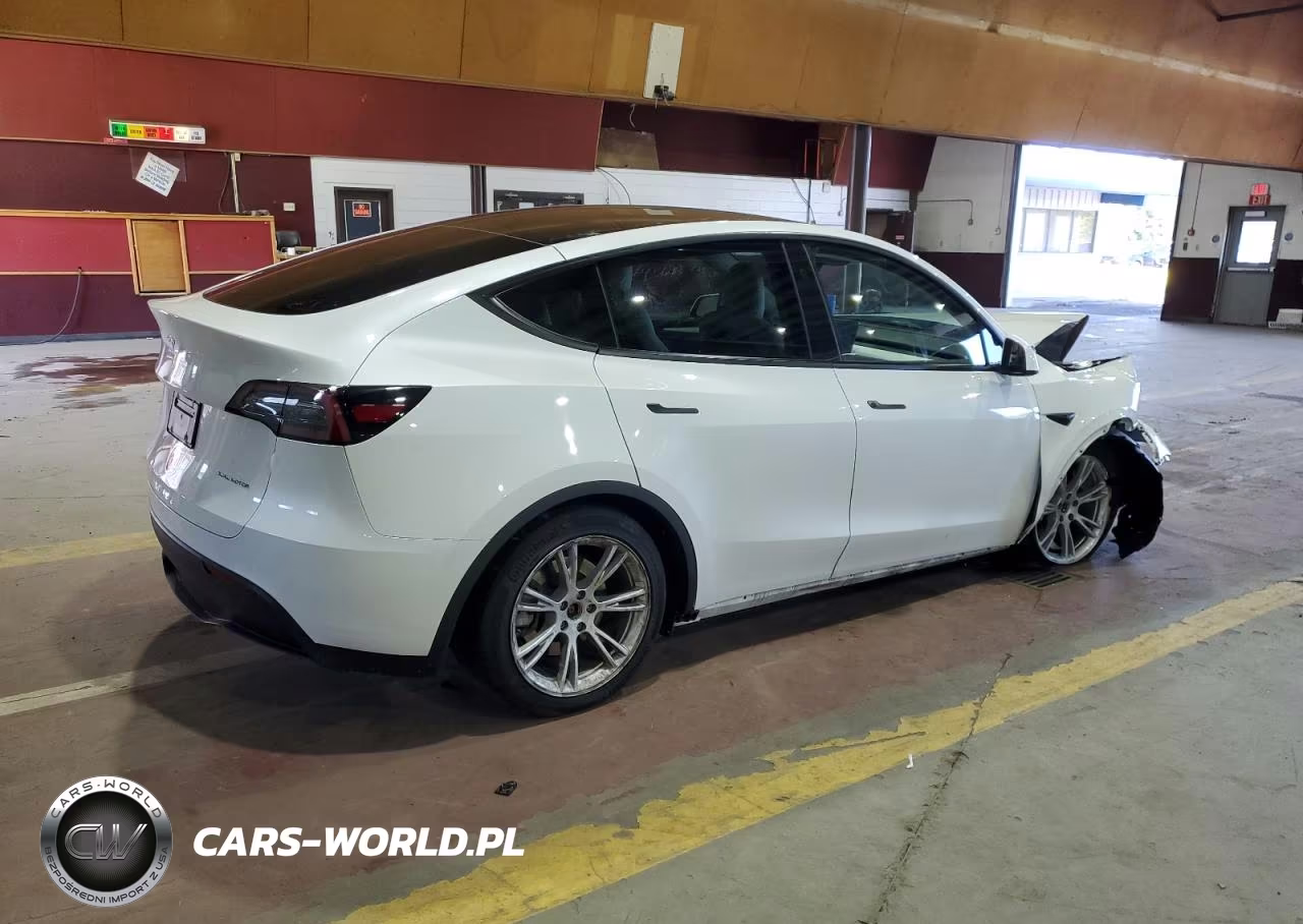 2023 Tesla Model Y VIN:7SAYGDEE6PF831382 - 3