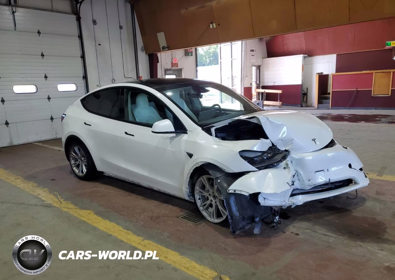 2023 Tesla Model Y VIN:7SAYGDEE6PF831382 - 4