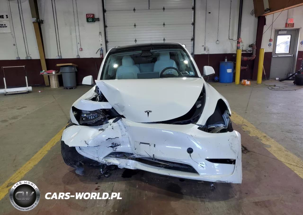 2023 Tesla Model Y VIN:7SAYGDEE6PF831382 - 5