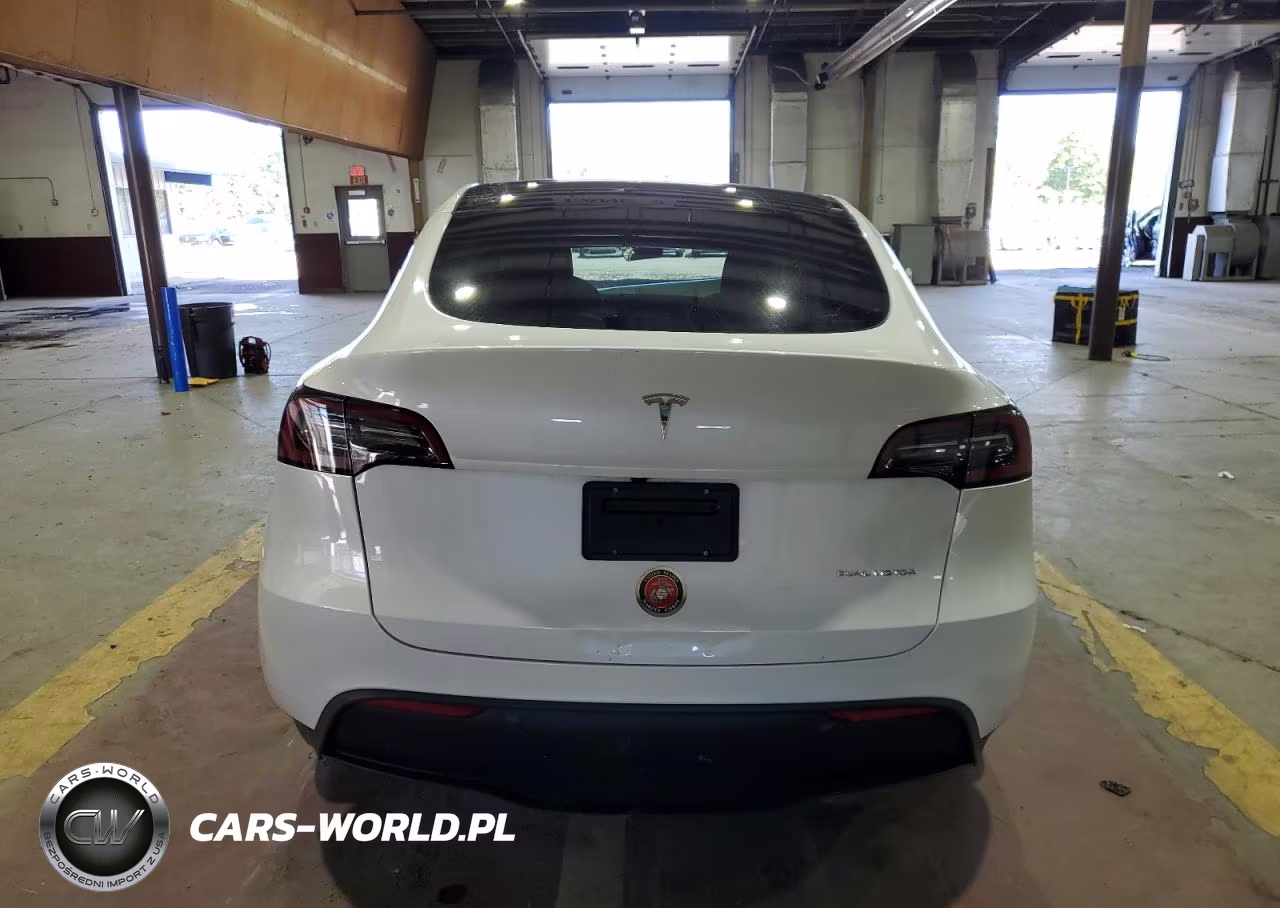 2023 Tesla Model Y VIN:7SAYGDEE6PF831382 - 6