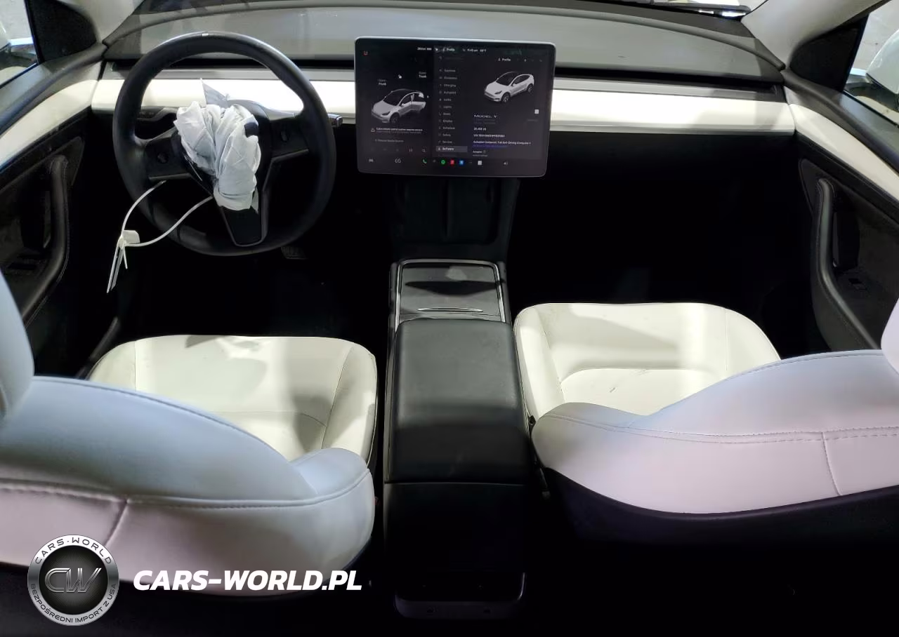 2023 Tesla Model Y VIN:7SAYGDEE6PF831382 - 8