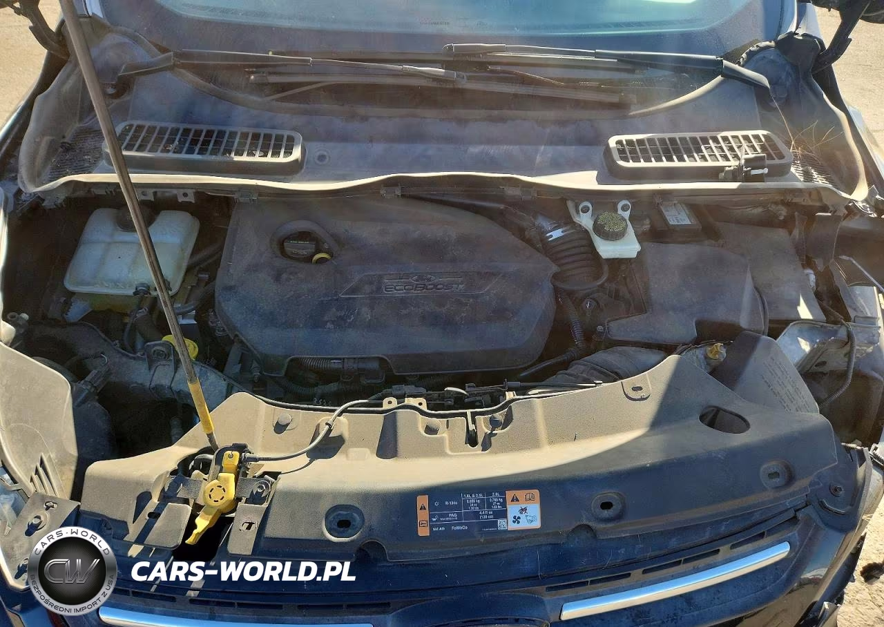 2014 Ford Escape Se VIN:1FMCU9GX4EUE14922 - 11