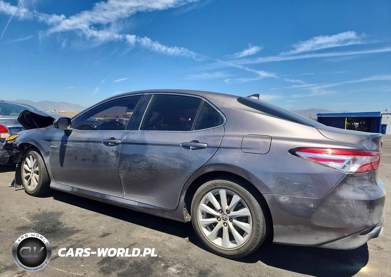 2019 Toyota Camry Le VIN:4T1B11HK3KU701110 - 2