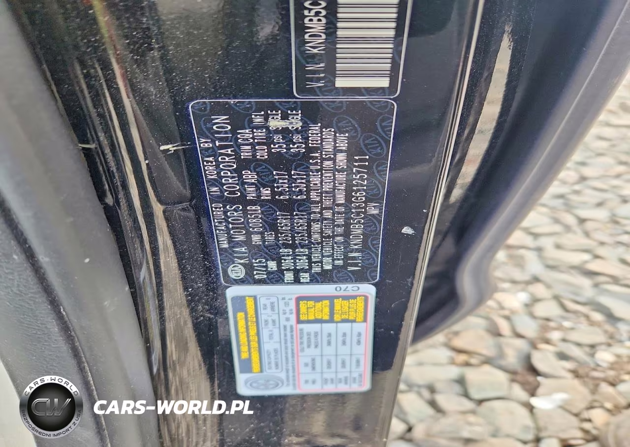 2016 Kia Sedona Lx VIN:KNDMB5C13G6125711 - 13
