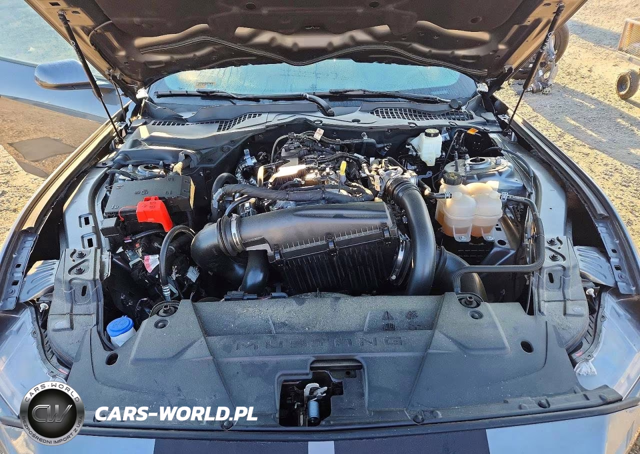2025 Ford Mustang VIN:1FA6P8TH5S5122581 - 11