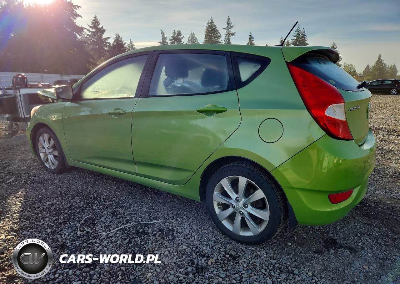 2014 Hyundai Accent Se VIN:KMHCU5AE9EU186304 - 2