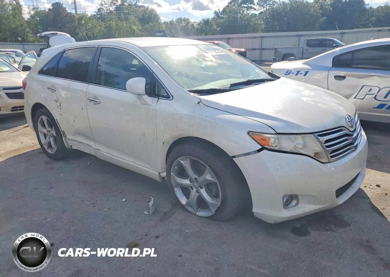 2009 Toyota Venza Awd V6 VIN:4T3BK11A99U021003 - 4