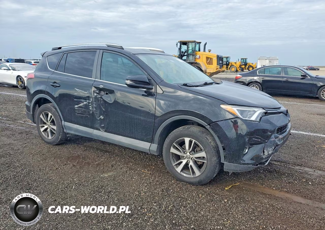 2016 Toyota Rav4 Xle VIN:2T3WFREV7GW268311 - 4