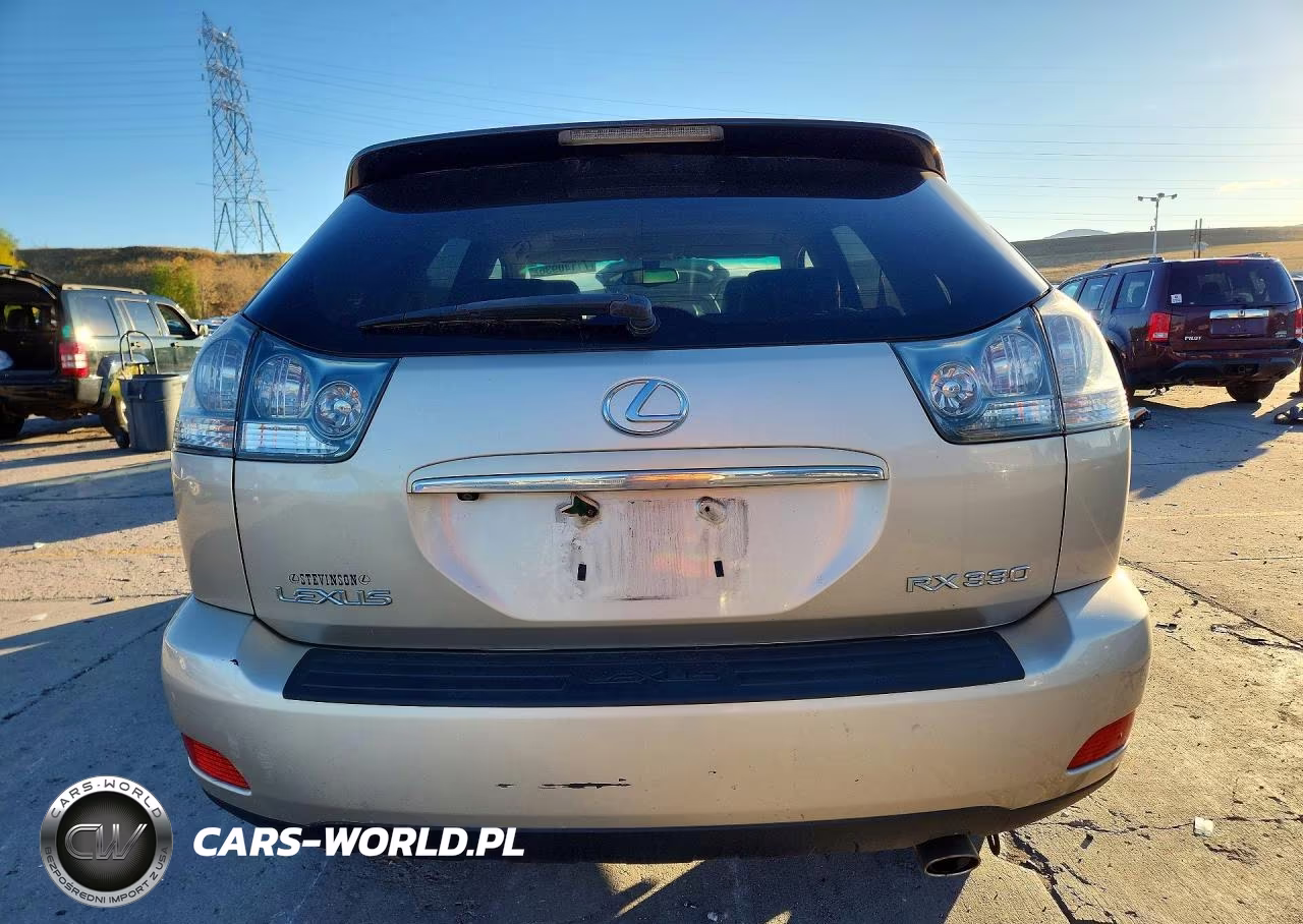 2004 Lexus Rx 330 VIN:JTJHA31U340028770 - 6