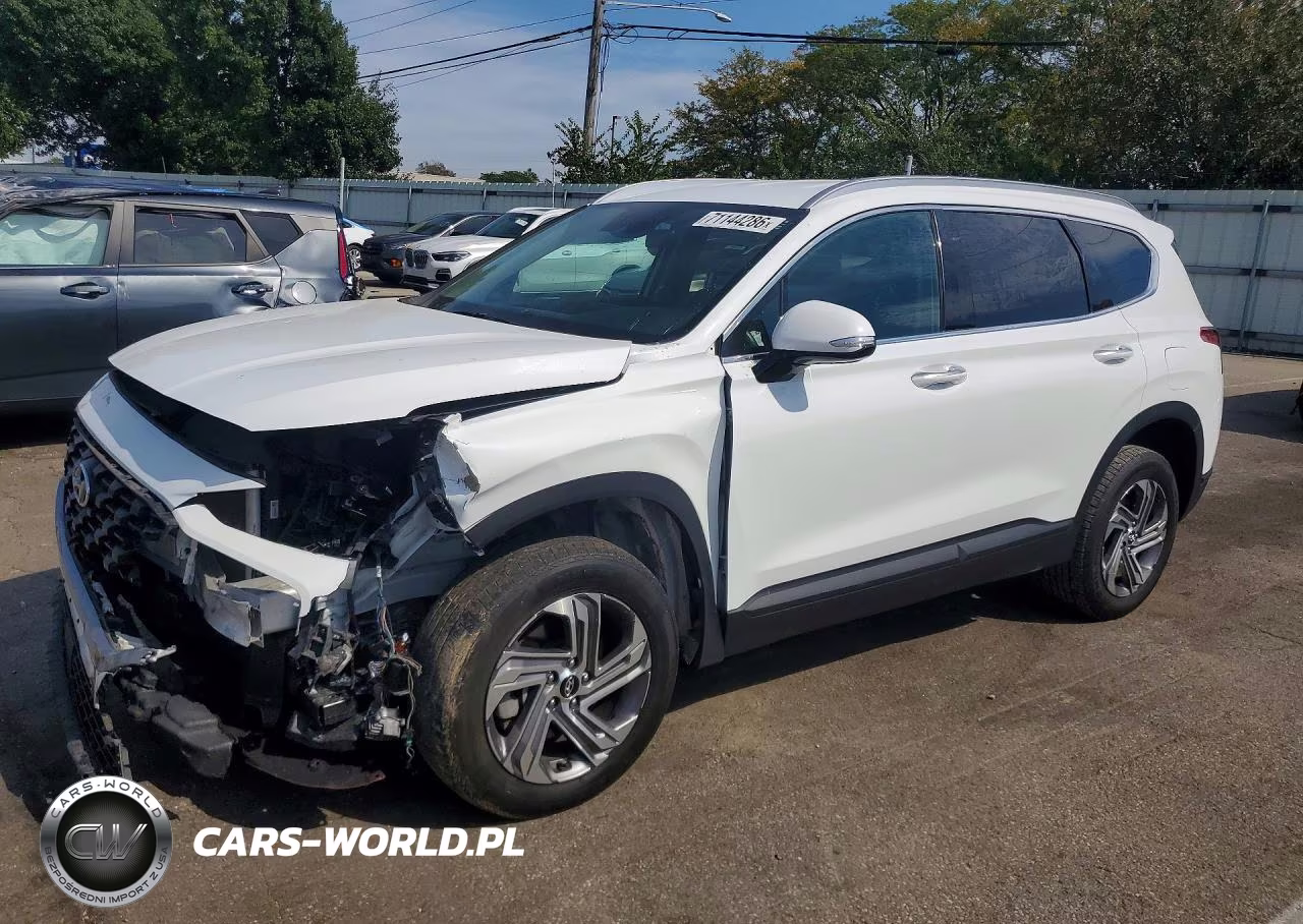2023 Hyundai Santa Fe Sel VIN:5NMS2DAJ4PH645388 - 1