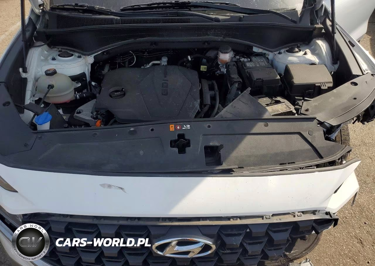 2023 Hyundai Santa Fe Sel VIN:5NMS2DAJ4PH645388 - 12