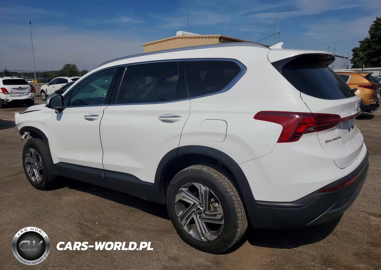 2023 Hyundai Santa Fe Sel VIN:5NMS2DAJ4PH645388 - 2