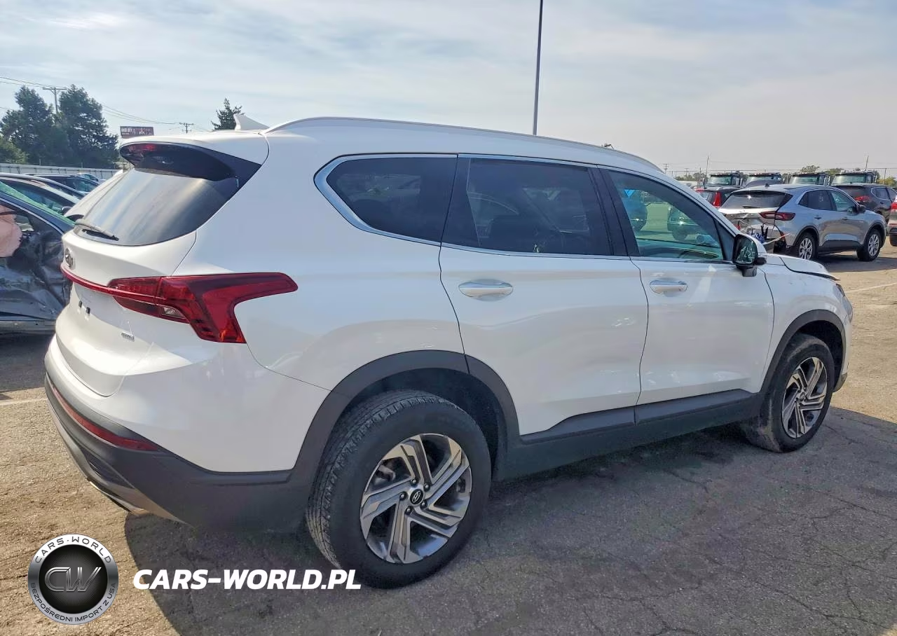 2023 Hyundai Santa Fe Sel VIN:5NMS2DAJ4PH645388 - 3