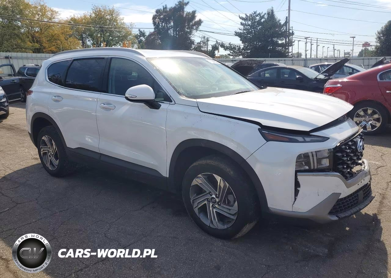 2023 Hyundai Santa Fe Sel VIN:5NMS2DAJ4PH645388 - 4