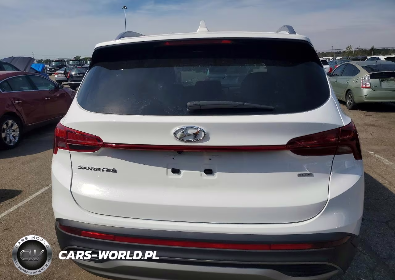2023 Hyundai Santa Fe Sel VIN:5NMS2DAJ4PH645388 - 6