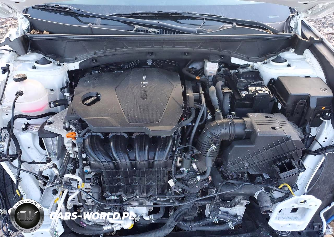 2025 Hyundai Tucson Sel VIN:JM3TB3DVXB0302050 - 12