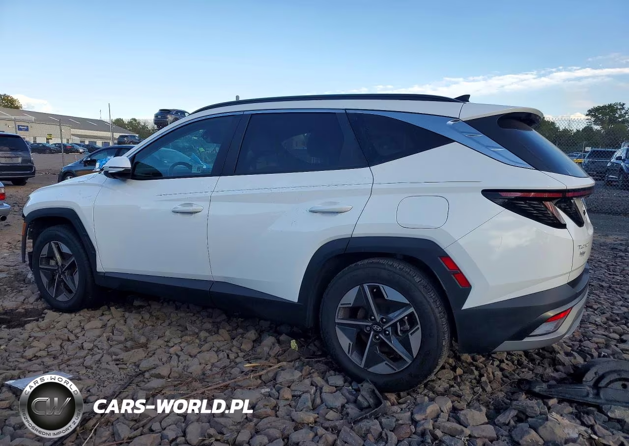 2025 Hyundai Tucson Sel VIN:JM3TB3DVXB0302050 - 2
