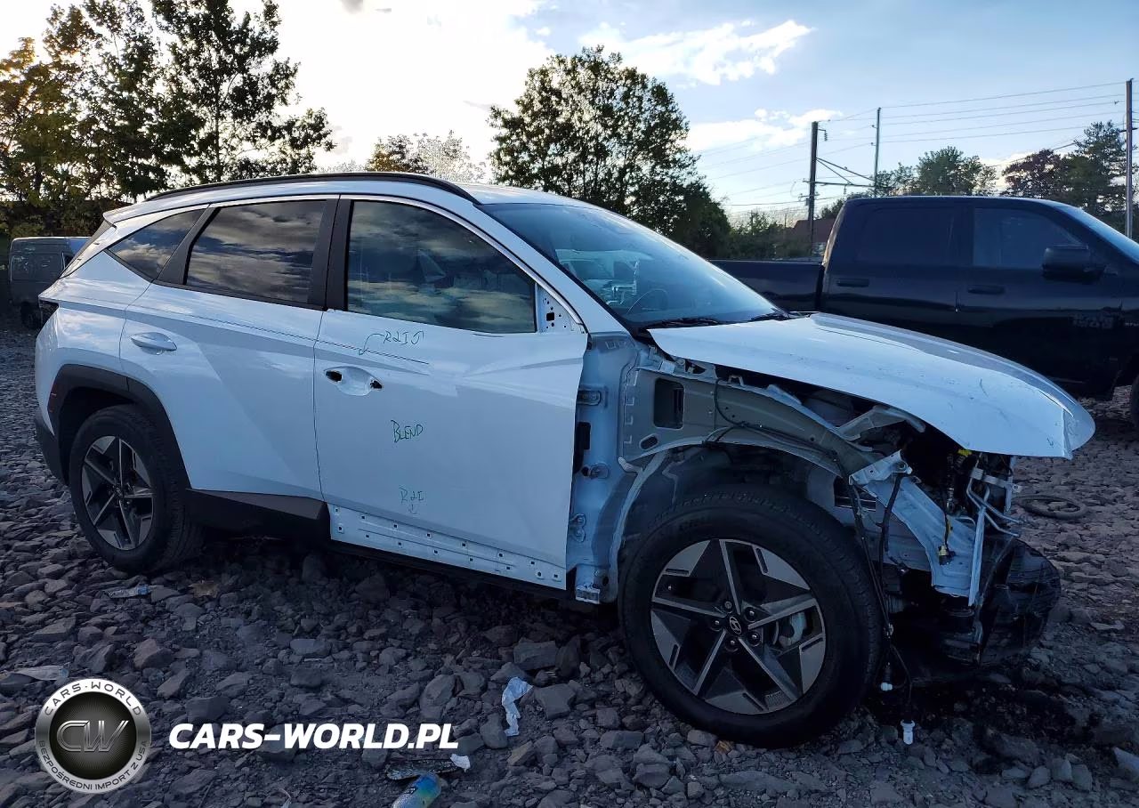 2025 Hyundai Tucson Sel VIN:JM3TB3DVXB0302050 - 4