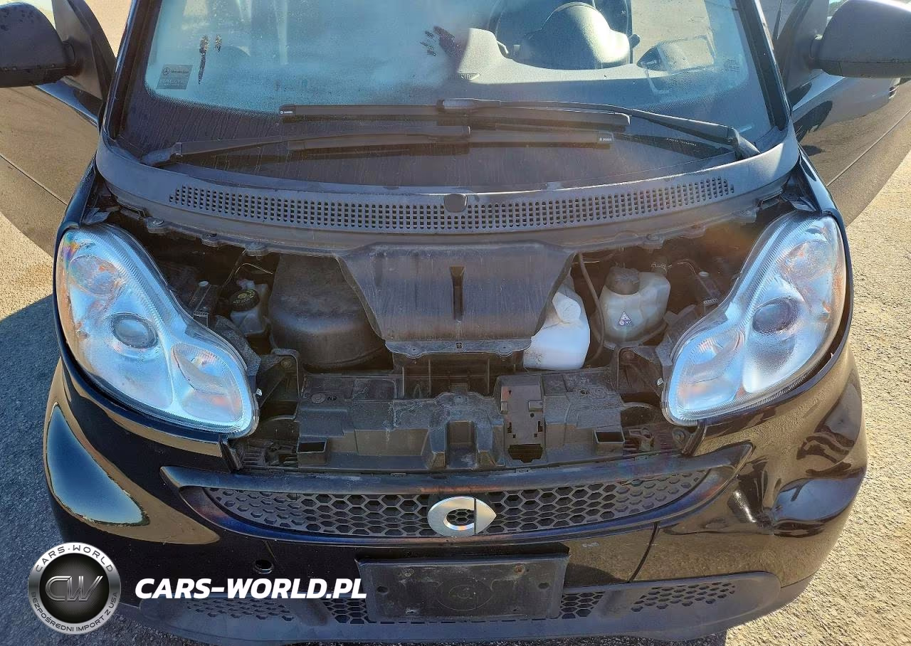 2013 Smart Fortwo Pure VIN:WMEEJ3BA0DK679337 - 11