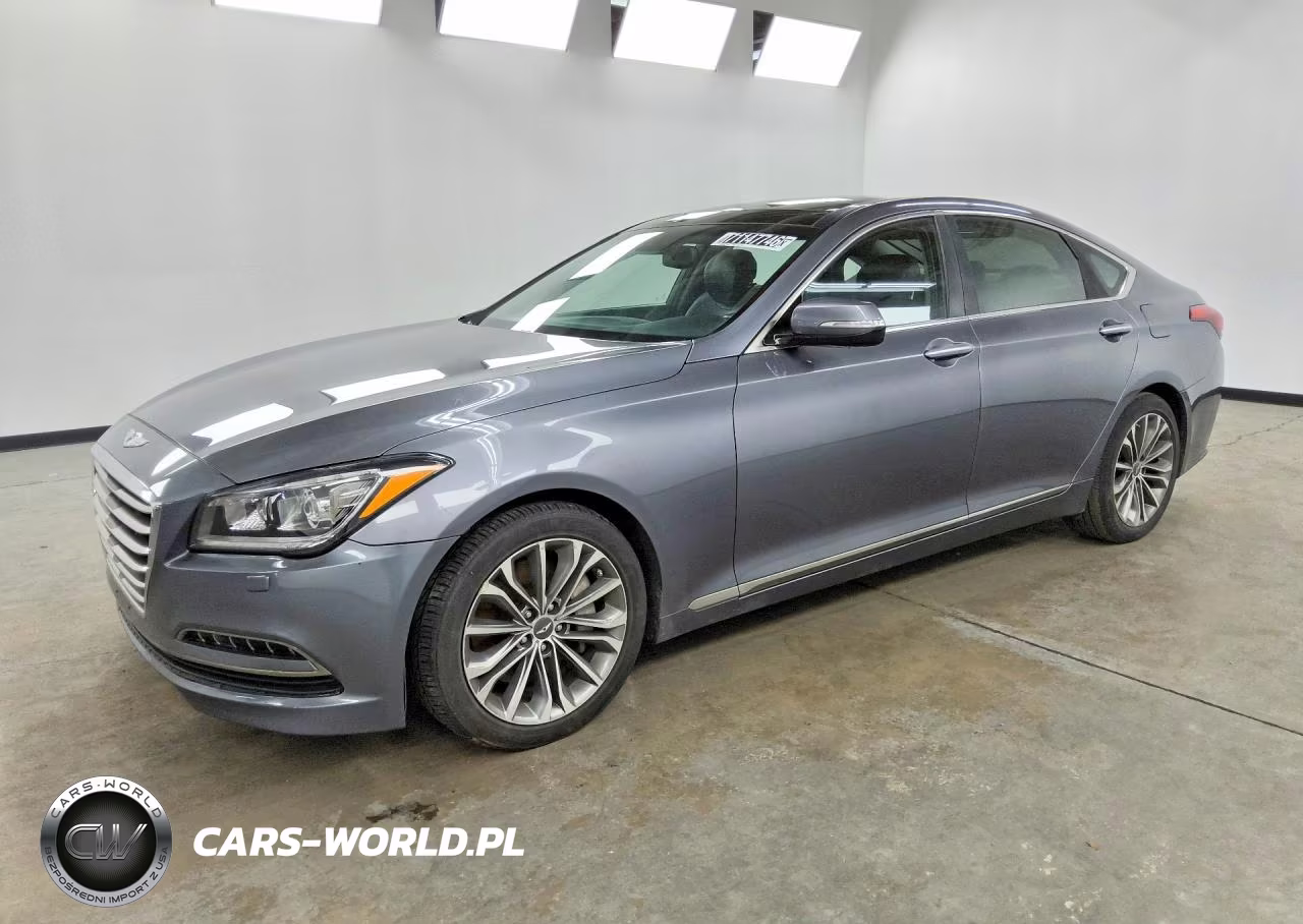 2015 Hyundai Genesis 3.8L VIN:KMHGN4JE7FU070349 - 1