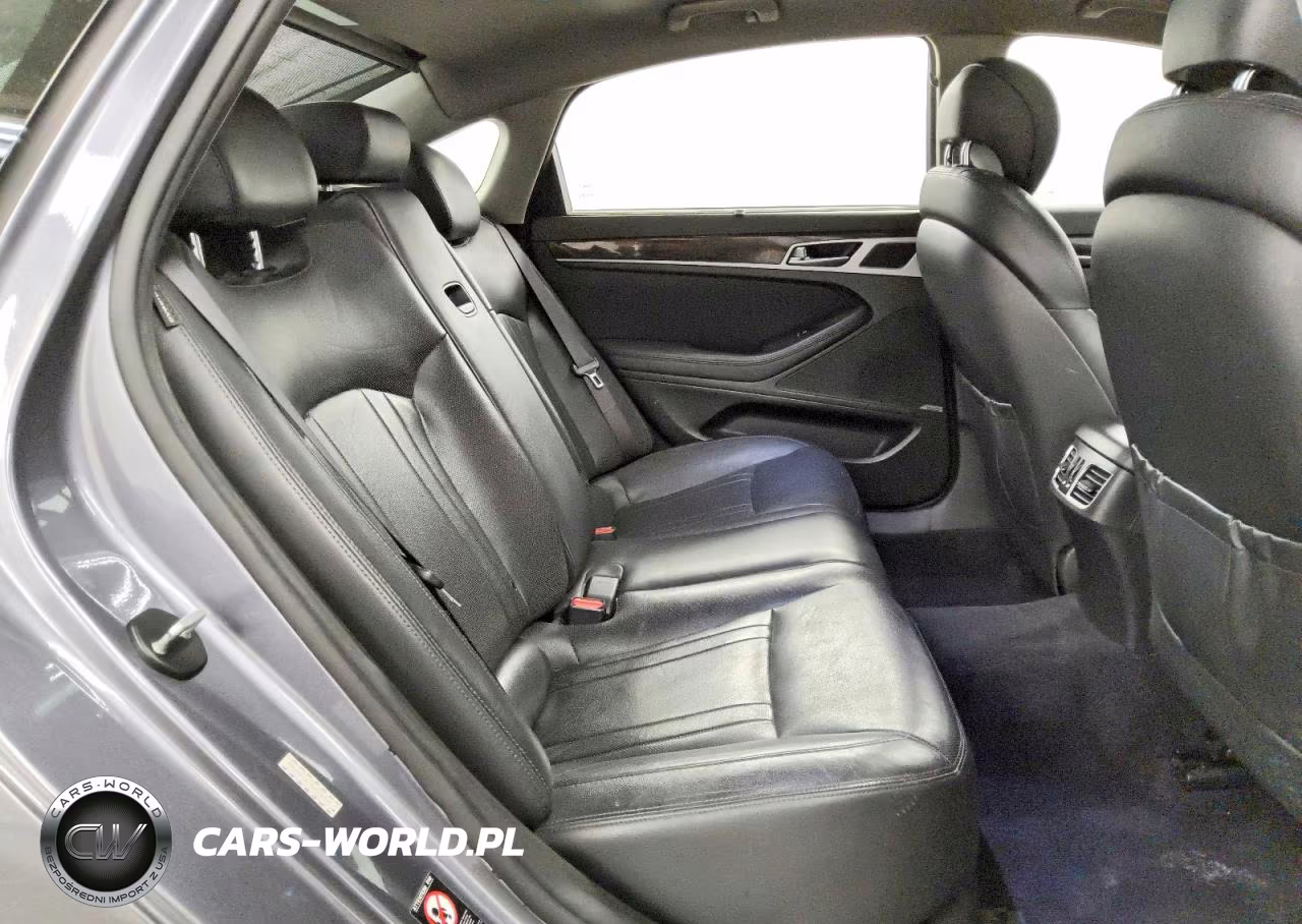 2015 Hyundai Genesis 3.8L VIN:KMHGN4JE7FU070349 - 10