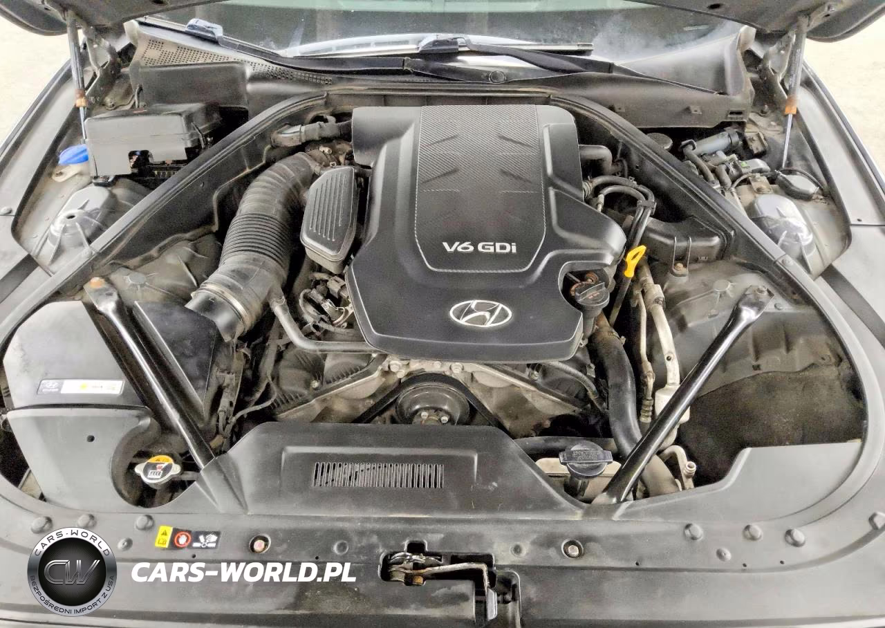 2015 Hyundai Genesis 3.8L VIN:KMHGN4JE7FU070349 - 11