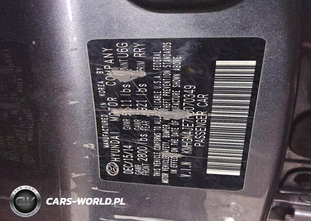 2015 Hyundai Genesis 3.8L VIN:KMHGN4JE7FU070349 - 12