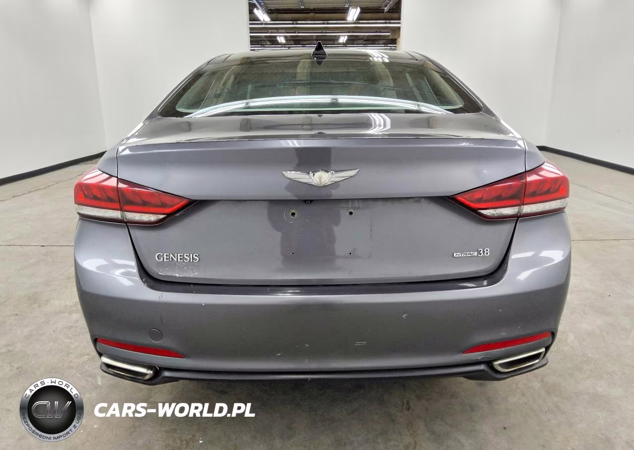 2015 Hyundai Genesis 3.8L VIN:KMHGN4JE7FU070349 - 6