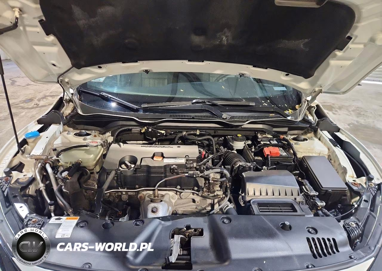 2019 Honda Civic Sport VIN:2HGFC2F88KH531487 - 11