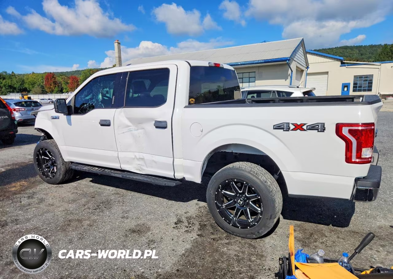 2016 Ford F150 Supercrew VIN:1FTEW1EF6GFB55294 - 2