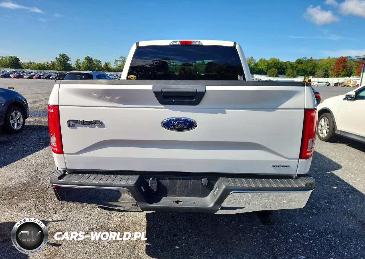 2016 Ford F150 Supercrew VIN:1FTEW1EF6GFB55294 - 6